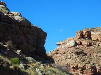 Picture IMG_2367